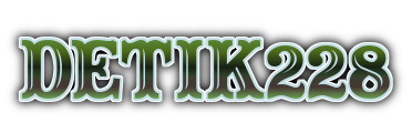 logo DETIK228